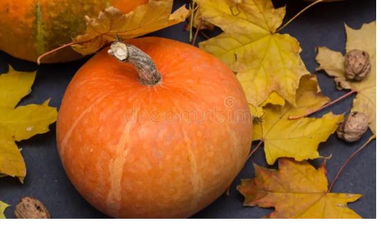 quotes about october 2025