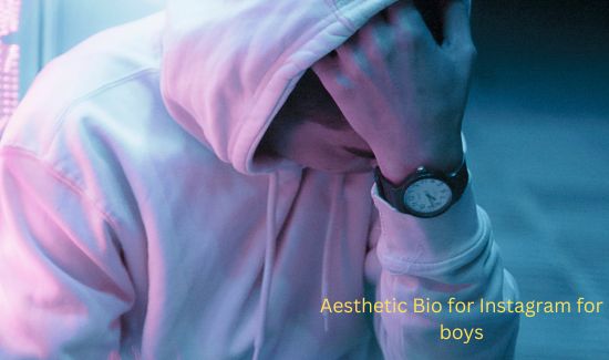 aesthetic bio for boys