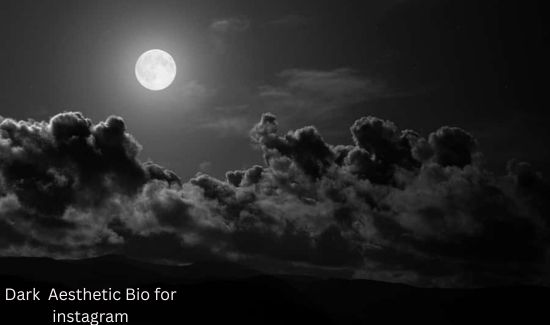 dark aesthetic bio