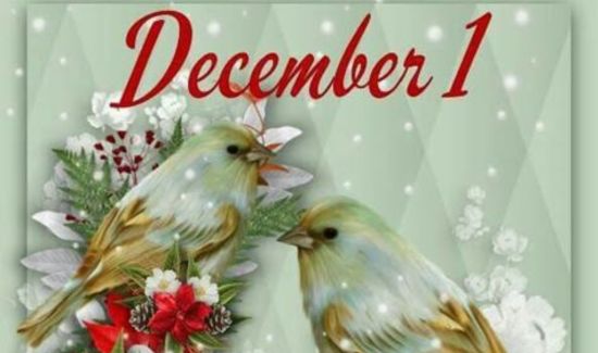 december 1 quotes