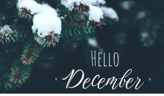 hello december quotes