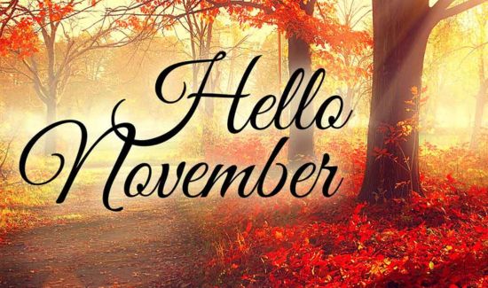 hello november quotes