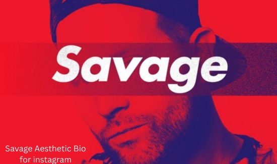 savage aesthetic bio
