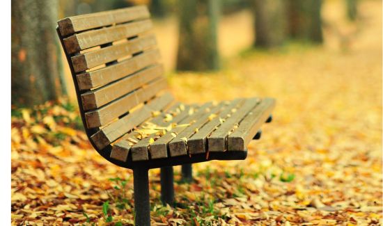 instagram caption quotes