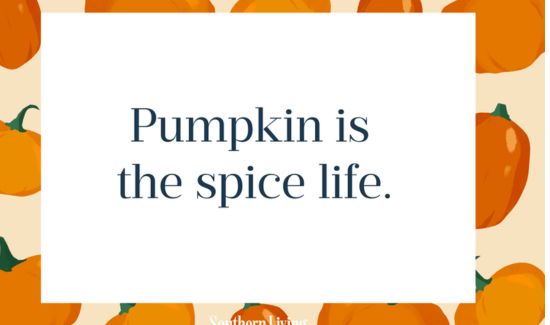 pumpkin quotes