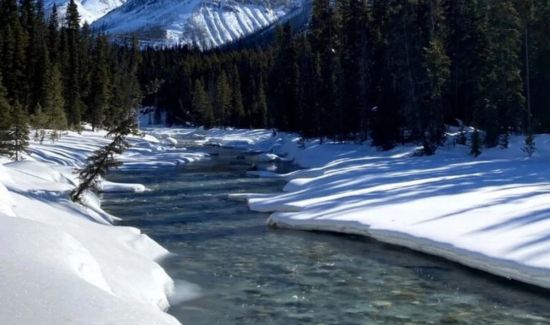 snow december quotes